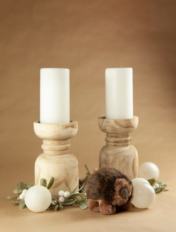 Untitled design (22)